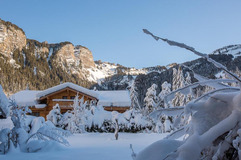 Hotel Les Lans Morzine Extérieur photo